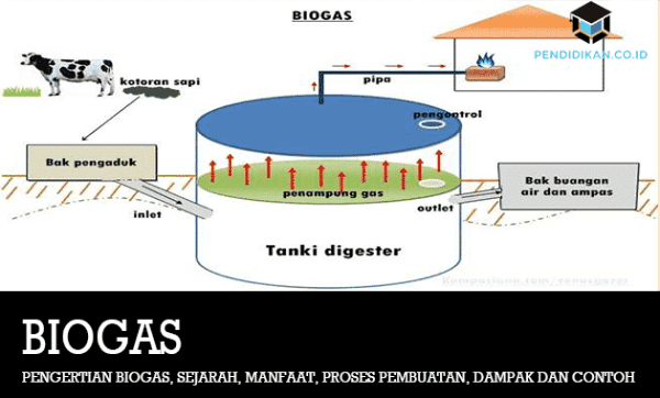 Biogas Adalah Energi Alternatif Apa Maksudnya Pennyu