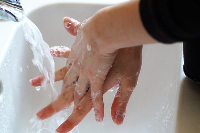 cara mencuci buah sebelumnya harus mencuci tangan