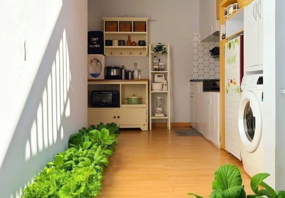 dapur minimalis terbuka dengan mesin cuci