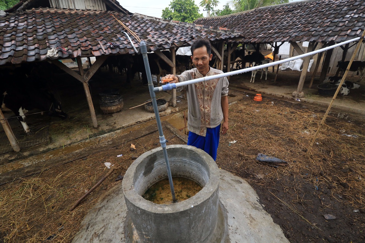 Mengolah limbah kotoran sapi di desa mandiri energi