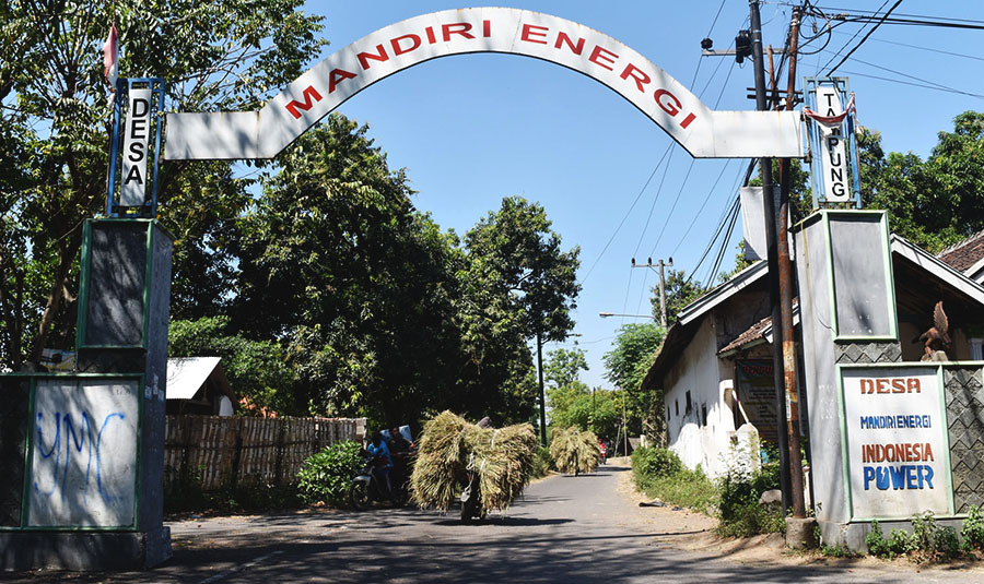 desa mandiri energi di Desa Baluanyar Kecamatan Lekok Kabupaten Pasuruan