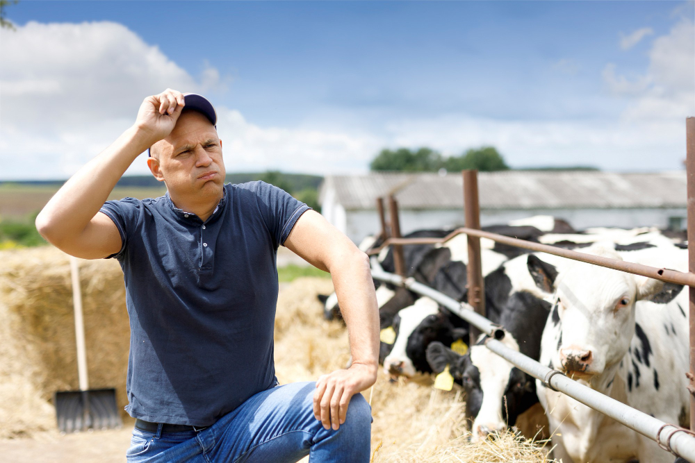 faktor yang menyebabkan pemanfaatan kotoran sapi menjadi biogas gagal