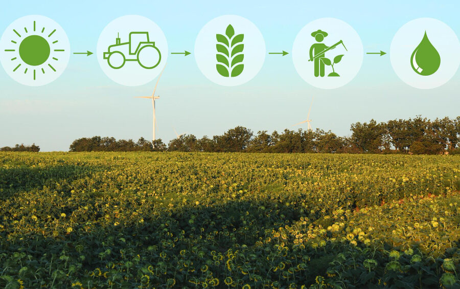 jenis energi alternatif di indonesia