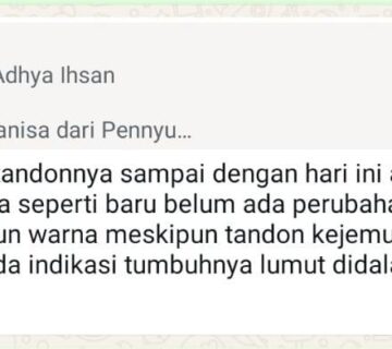 CS TESTI TANGKI 2 360x320
