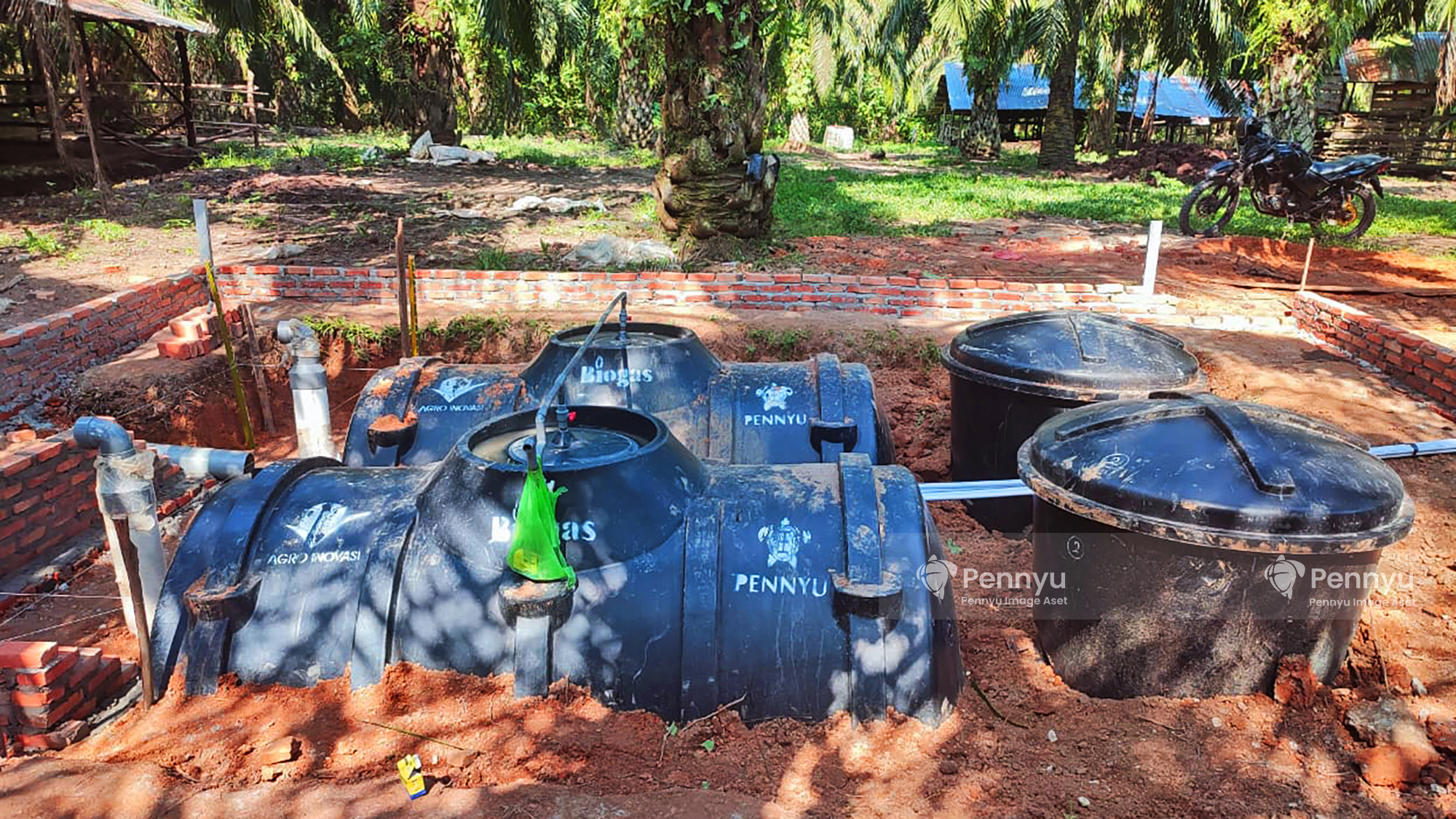 dua Pennyu Biogas Digester yang sudah terpasang