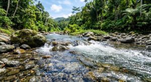 Aliran Air Sungai